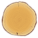 カナダ桧（米ヒバ）